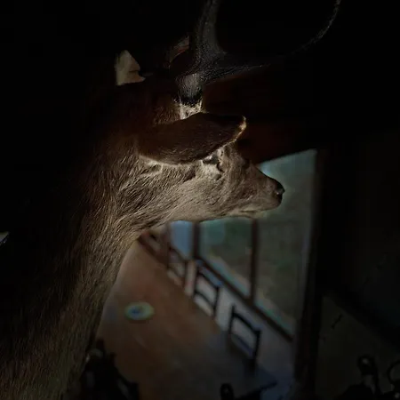 Achouffe - Avant Midi Houffalize